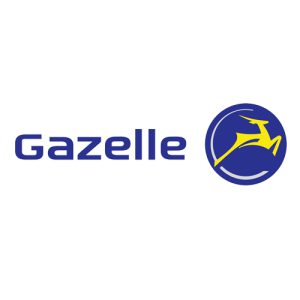gazelle tours - velo électrique